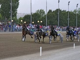 notte delle stelle 2021 - pista